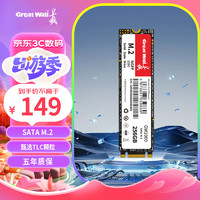 长城（Great Wall) 256GB SSD固态硬盘 M.2接口SATA协议 读速540MB/S GW1000系列
