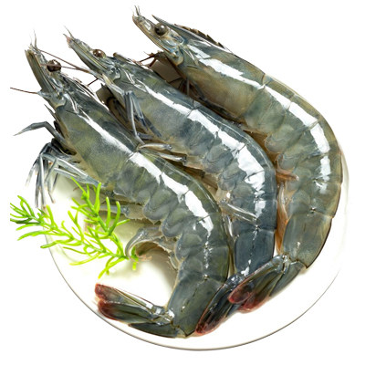厄瓜多尔大虾冻虾南美白对虾1.65kg/3040水产桑塔虾