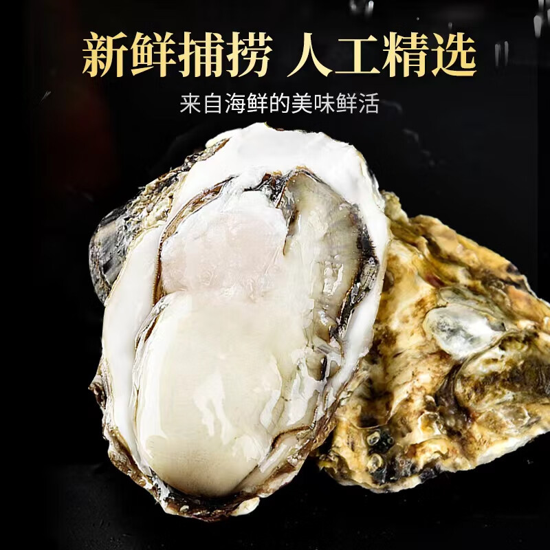 农美年乳山精品生蚝新鲜海鲜带壳4XL 牡蛎海蛎子5.5斤装  单个3-4两 乳山精选生蚝 净重 4.6公斤