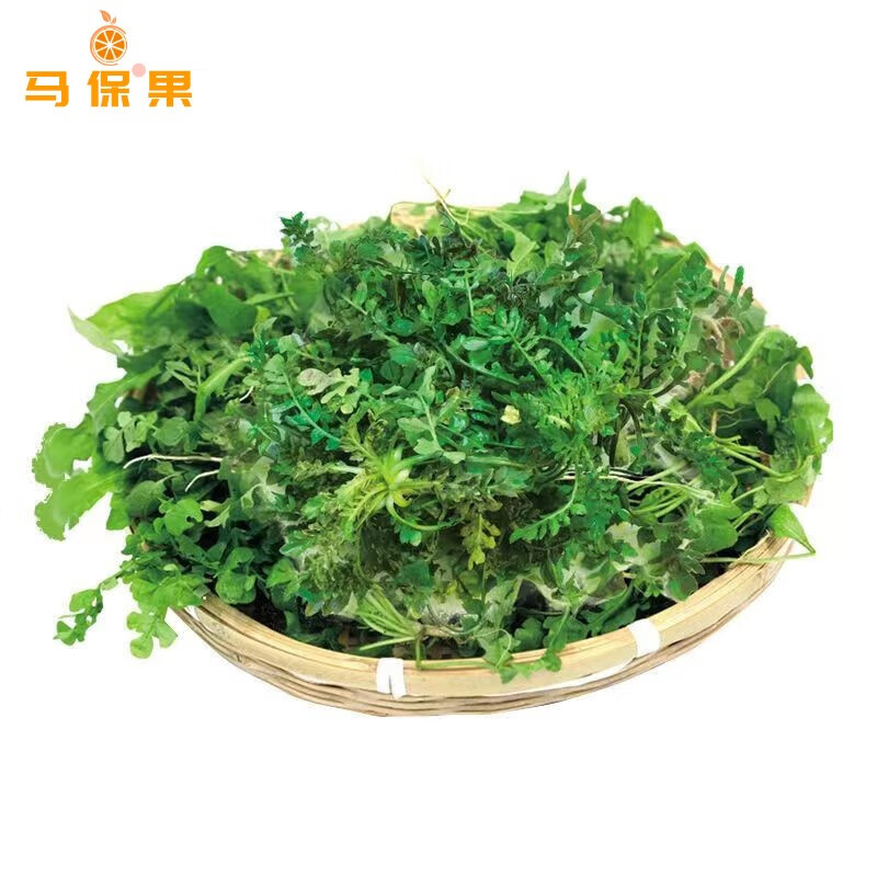 马保果苏北荠菜 新鲜野菜现挖现发地菜野菜 饺子春卷野生荠菜馅 精选装2斤