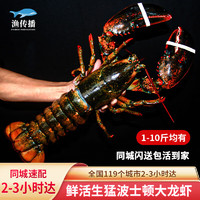 渔传播【活鲜】同城速配 加拿大鲜活波士顿龙虾1kg/只波龙大龙虾虾类