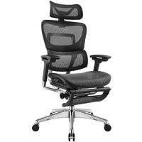 有谱FlyPro人体工学椅子护腰办公椅座椅电脑椅家用舒适久坐人体工程椅 黑框黑网+脚踏