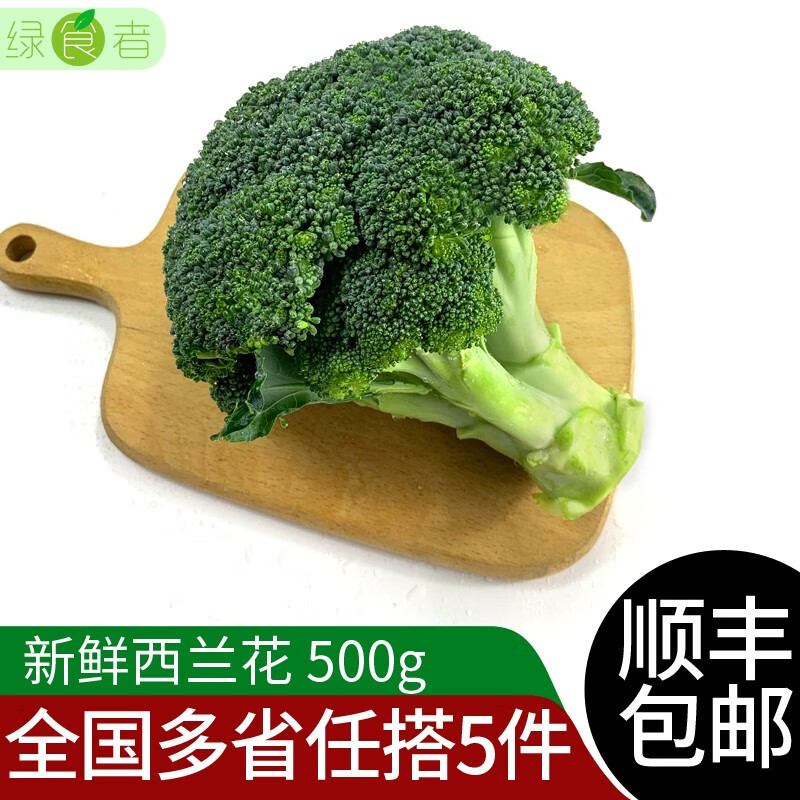 绿食者 新鲜西兰花500g 脆嫩青花菜绿花菜西蓝花椰菜 时令蔬菜