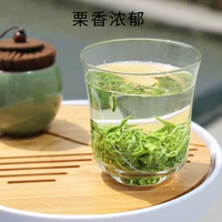 羽信 毛尖绿茶品鉴装 10g