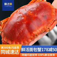 【活蟹】朕之鲜 面包蟹鲜活超大螃蟹母蟹 鲜活面包蟹 700-800g/只