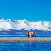 一价全包：从丝路到雪域！坐着火车纵贯西部大美山河！青海甘肃西藏11天10晚专列旅游（含全程住宿+每日三餐+行中门票+列车管家、医生等）