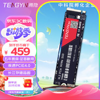 腾隐（TENGYIN） 精选长江存储晶圆台式机笔记本SSD固态硬盘PCIe4.0 NVMe 1TB TP4000 读速5000MB/S