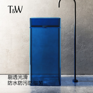 T&W 特拉维尔 TW特拉维尔透明一体落地式立柱盆阳台家用洗手盆卫生间洗漱洗脸盆