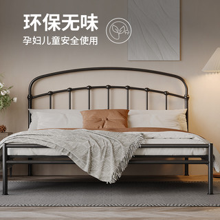 天坛 TianTan 天坛 家具铁艺床双人床现代简约铁架床欧式主卧铁床金属法式