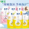 LION 狮王 洗手液爽肤香200ml+柠檬香200ml