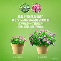 Mracle.Gro 美乐棵 浓缩营养液通用玫瑰月季花卉盆栽植物绿植肥料补充装液体肥