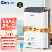 Deye 德业 除湿机/抽湿机 除湿器12升/天 wifi手机控制 家用轻音吸湿器干燥机地下室干衣机 12L/天 DYD-Z12A3