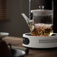 Leemusur 乐米思多功能电陶炉茶炉家用大功率静音煮茶器迷你小型煮茶炉保温