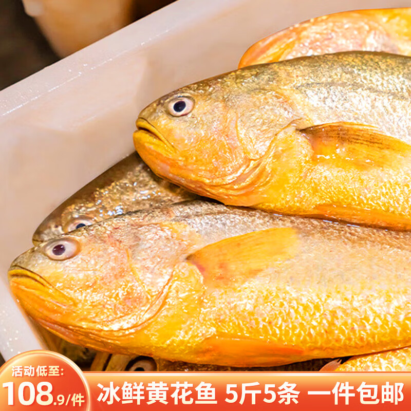 鸿顺【冰鲜】黄花鱼5条5斤 生鲜鱼类 海鲜年货 宁德大黄鱼 源头直发