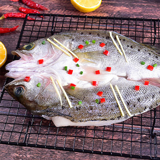 88VIP：国联酒香海鲈鱼新鲜冷冻海鱼海鲜水产烤鱼减脂预制菜半成品商用