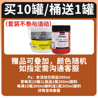 Pebeo 贝碧欧 光亮丙烯颜料套装浇筑手绘画鞋防水专业初学者300ml手绘彩绘石头炳稀流体画金属色贝碧欧旗舰店