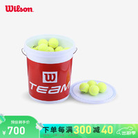 Wilson 威尔胜 网球