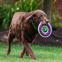 CAITEC 美國寵物大狗狗玩具發聲布面飛環飛盤飛碟耐咬磨牙大型犬金毛拉拉