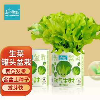 Bloom Life 匠心绽放 IAM City Farmer生菜罐头小盆栽家庭种植小罐头diy植物罐头绿植男孩女孩生日礼物