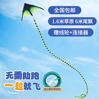 智汇 风筝成人儿童潍坊大型草原风筝线轮儿童玩具户外玩具