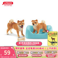 思乐（Schleich S）仿真动物模型小动物玩具兔子玩具 狗狗玩具小猫儿童玩具礼盒装 狗和小狗42479