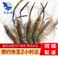 乐食港 【活鲜】 鲜活罗氏虾大头虾沼虾活虾海鲜水产（仅上午有货 ） 3斤