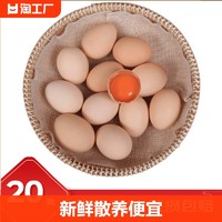 万力睿 农家散养新鲜土鸡蛋20枚单枚均重40g