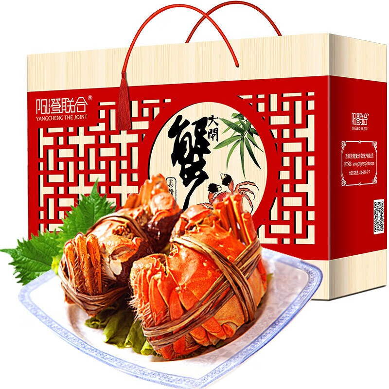 阳澄联合【活蟹】YANGCHENG THE JOINT大闸蟹鲜活去绳足重螃蟹海鲜生鲜礼盒 全母4.0-4.2两 10只装