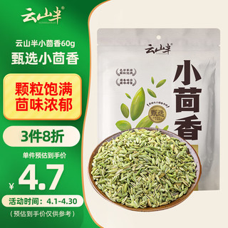 云山半 小茴香60g香辛料家用大料茴香籽大回香炖卤肉火锅底料烧烤撒料