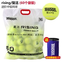 天龙（Teloon）网球训练球进阶初学专业比赛网球耐磨 Rising专业一袋（60个）