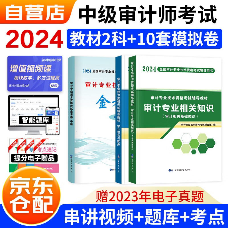 2024中级审计师辅导教材+金考卷（10套模拟卷） 审计理论与实务+审计相关专业知识（套装共3册）赠网课+题库软件含章节练习真题模拟