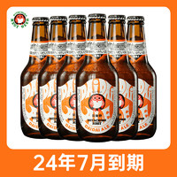Hitachino Nest 常陆野猫头鹰 IPA 精酿啤酒 330mL*6瓶