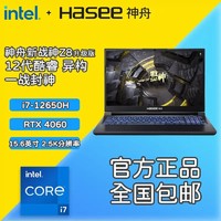 百億補貼：Hasee 神舟 戰神Z8D6 十二代酷睿版 15.6英寸 游戲本 黑色（酷睿i7-12650H、RTX 4060 8G、16GB、512GB SSD、2.5K、IPS、144Hz）