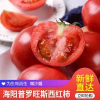 古寨山 红又红番茄生吃普罗旺斯西红柿自然成熟新鲜蔬菜健康轻食 4.5斤