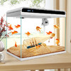 SUNSUN 森森 魚缸水族箱超白玻璃生態小型桌面免換水智能金魚缸 HE480智能超白金魚缸 內置棉和濾材