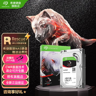 SEAGATE 希捷 酷狼IronWolf系列 3.5英寸 NAS硬盘 4TB (PMR、5900rpm、64MB) ST4000VN008