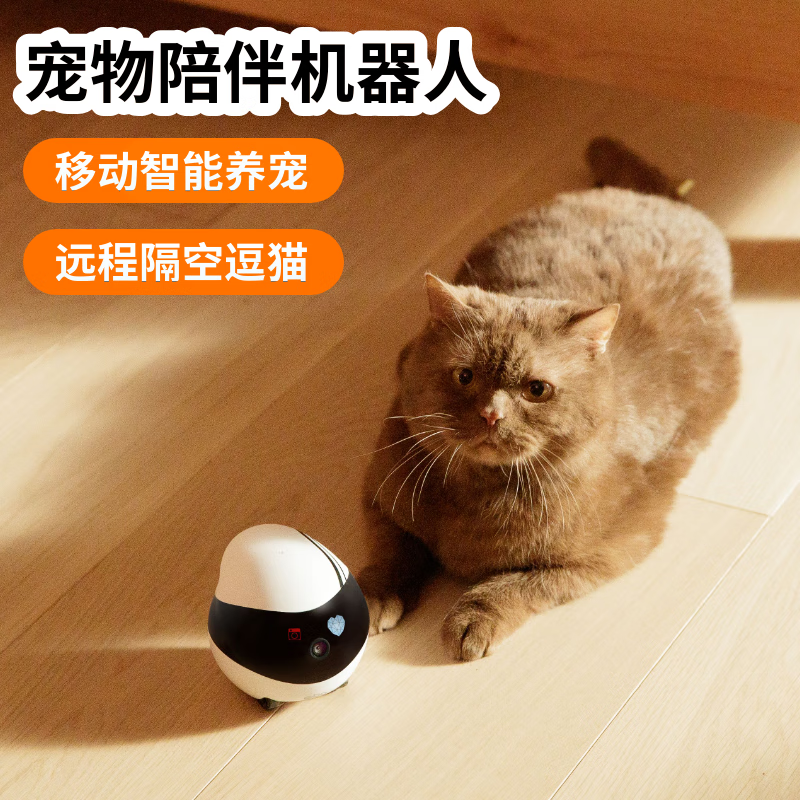 ENABOT EBO Air 宠物陪伴机器人 电子养宠逗猫 全屋移动监控操控 32G 标准版