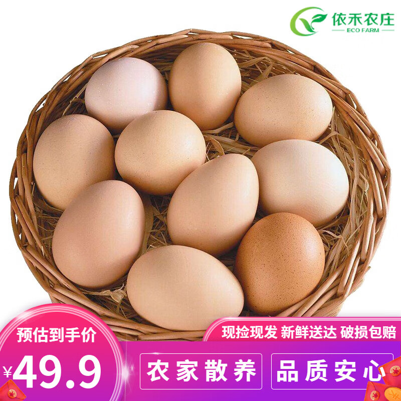 云依禾农庄 新鲜现捡土鸡蛋谷物虫草柴鸡蛋 笨鸡蛋生鲜  单枚约40g 土鸡蛋50枚