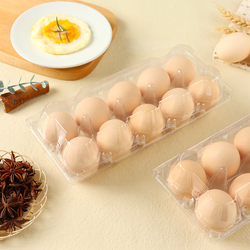 拜杰一次性鸡蛋托盘塑料10枚装20套运输包装盒透明防震鸡蛋盒 一次性鸡蛋托 10枚装20套