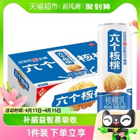 养元 六个核桃核桃乳精品型240mL*24罐