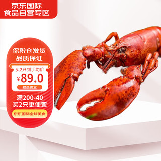 Henstar 加拿大熟冻波士顿龙虾400-450g/只 水产年货