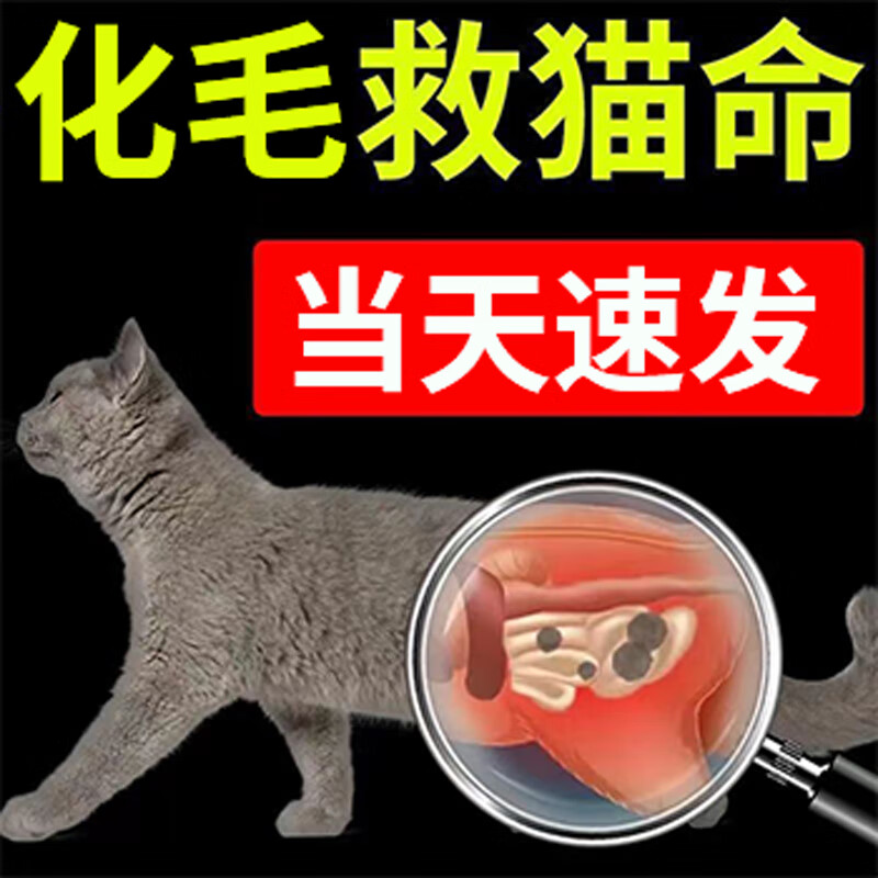 维耐斯猫草片猫咪化毛球片化毛膏猫咪祛除毛球促排毛调理肠胃防呕吐磨牙猫草化毛片 2瓶300g