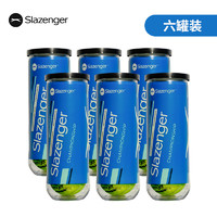 Slazenger 史莱辛格 网球温网用球施莱辛格豹子球练习球专业球网球 温网胶罐3粒/6桶