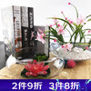 AOmeiyou 奥美优 水仙盆 透明大号 水培玻璃花瓶 乌龟鱼缸水养植物器皿 LZ7355