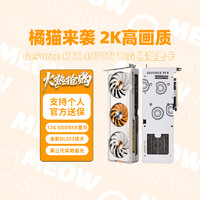 COLORFUL 七彩虹 RTX4070Ti 12G橘影橙电竞游戏橘猫台式机独立显卡