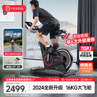 YESOUL 野小兽 自发电动感单车家用自行车专业减肥运动器材健身房V5