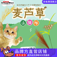 多格漫猫咪玩具 麦芦草逗猫棒宠物互动逗猫杆 短款 青草2支