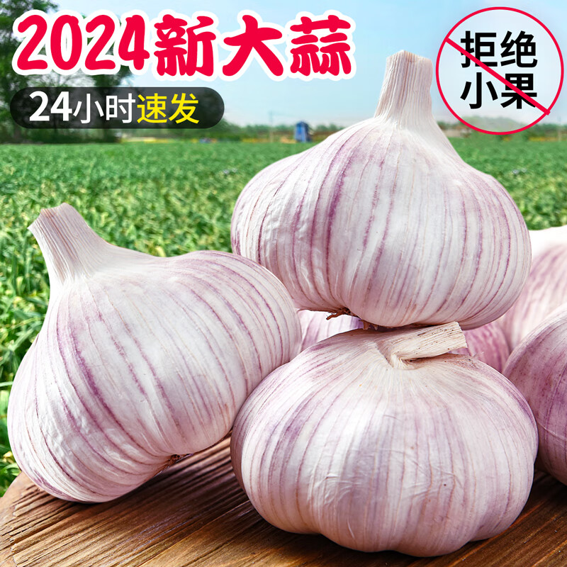 正鲜季 大蒜 新干大蒜头 紫皮大蒜 2024当季2 中果 2斤