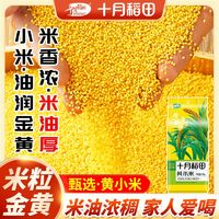 十月稻田 黄小米500g起1斤2斤5斤小米粥真空五谷杂粮米小黄米油多