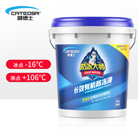 Cateosr/凯德士 凯德士 Cateosr 防冻液-16℃ 水箱冷却液18KG红色涤纶乙二醇20L防垢防沸